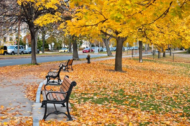 Park in Fenway