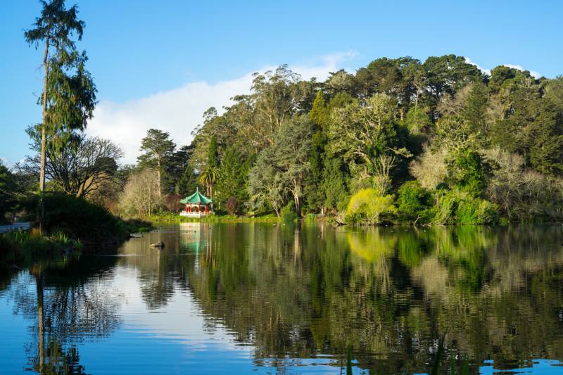 Golden Gate Park