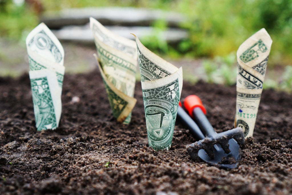 $1 bills planted in soil