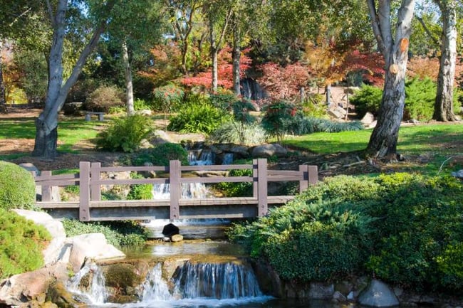 Japanese garden Fresno